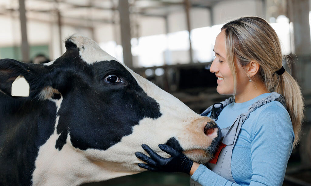 Veterinary diagnostics